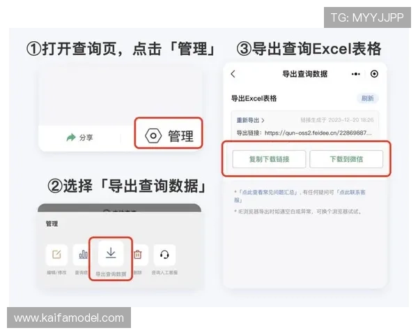 如何使用凯发体育注册账号查询系统实现快速核对个人账户数据
